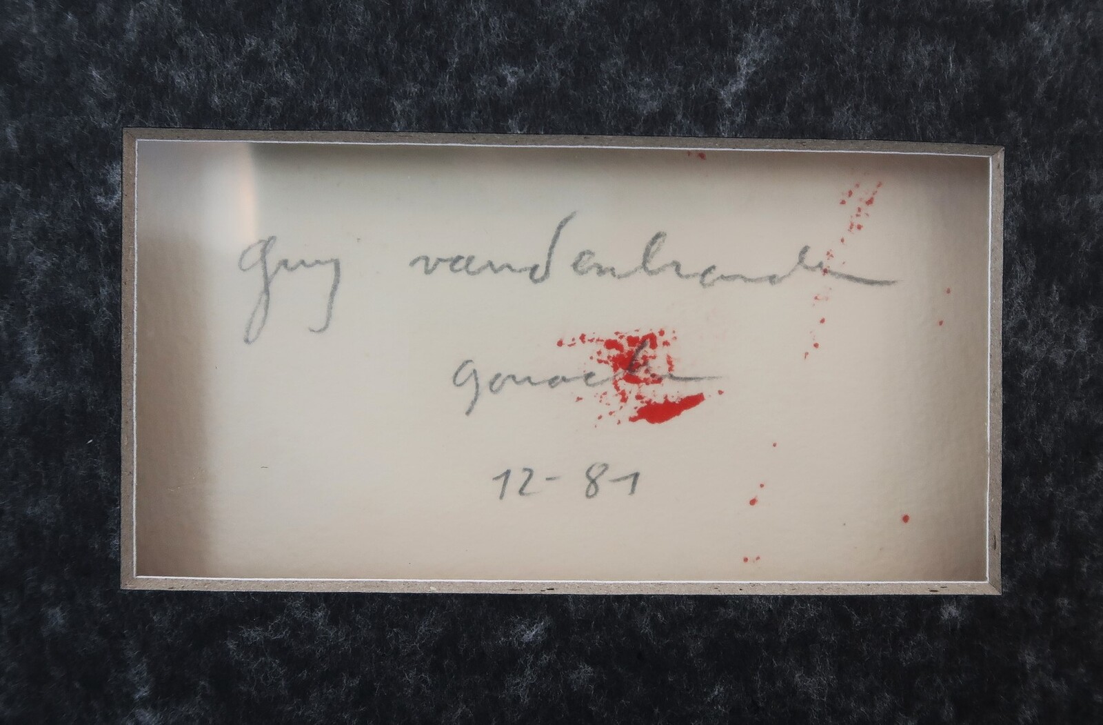 VANDENBRANDEN Guy